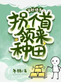 法内狂徒竹叶糕