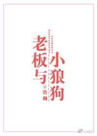 半夏开花半夏伤全文免费阅读