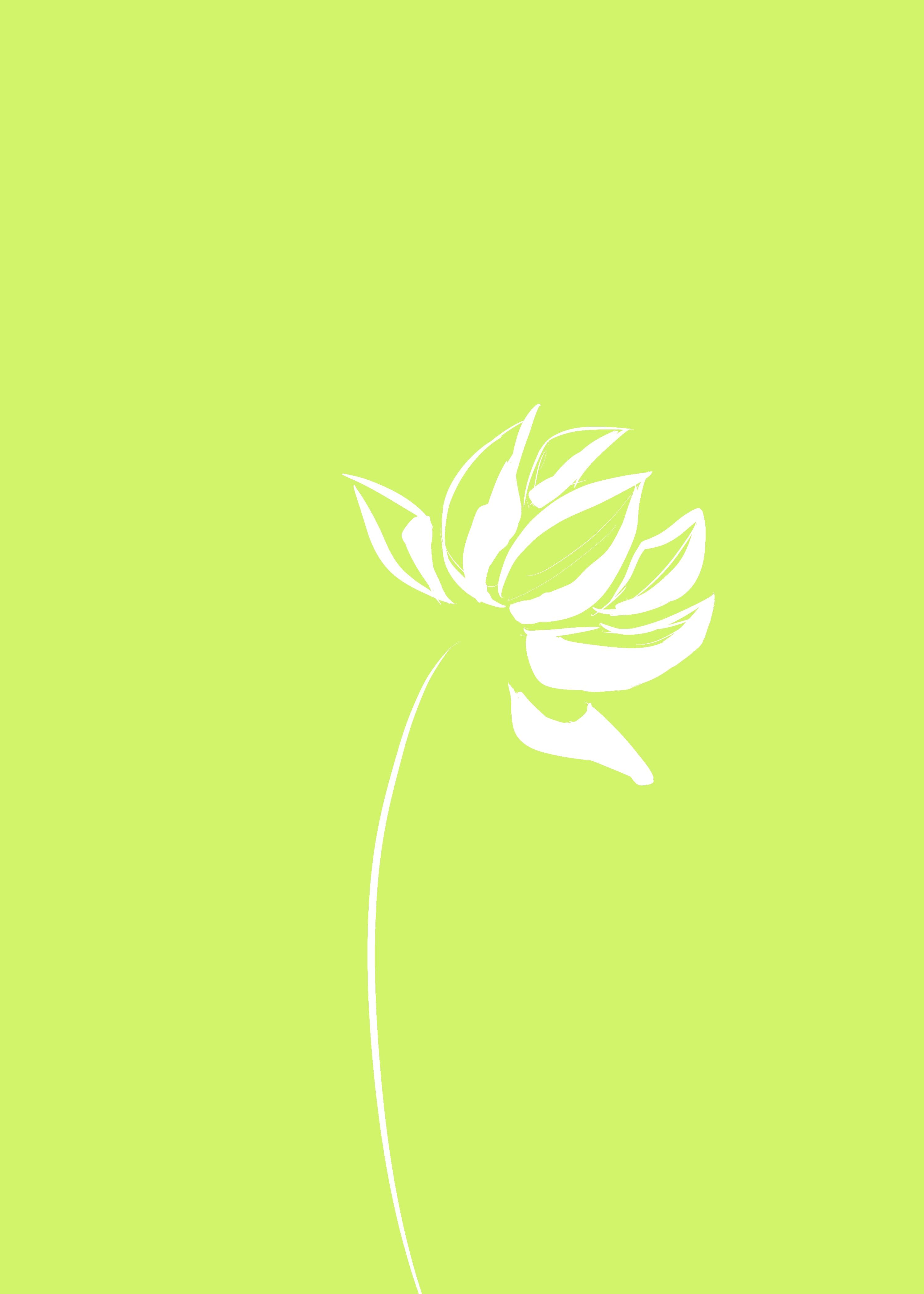 备孕是什么意思