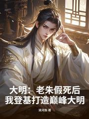 不是军师by凤九幽
